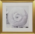 Постер Garda Decor "Цветочное кружево" в золотом багете 89VOR-FLOWER1