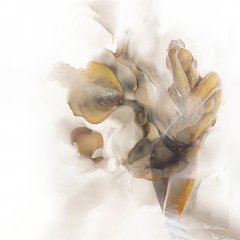 54STR-AQUARELLE6 Холст 