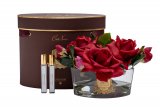 96CN-LV2200 Диффузор Oval Red, спрей Winter in Chateau 2х10мл в уп.